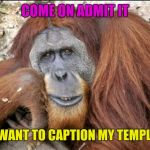 44colt's Meme Template Challenge March 18-24 (A 44colt event) Info in comments below! | COME ON ADMIT IT; YOU WANT TO CAPTION MY TEMPLATES | image tagged in creepy condescending monkey,44colt's meme template challenge,memes,creepy condescending wonka | made w/ Imgflip meme maker