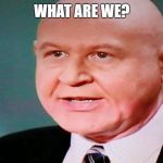 What are we? | WHAT ARE WE? | image tagged in what are we | made w/ Imgflip meme maker