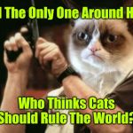 We'll Be In Some Serious Trouble If That Ever Happens! 44colt's Meme Template Challenge March 18-24 (A 44colt event)  | Am I The Only One Around Here; Who Thinks Cats Should Rule The World? | image tagged in grumpy cat,memes,am i the only one around here,cats rule,44colt,44colt's meme challenge | made w/ Imgflip meme maker