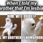 Persian Cat Meme | When I told my brother that I'm lesbian; HIM: WTF DUDE!? P.S. MY BROTHER IS HOMOPHOBIC | image tagged in persian cat meme | made w/ Imgflip meme maker