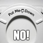 Toilet seat down | NO! | image tagged in toilet seat down | made w/ Imgflip meme maker