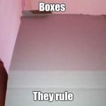 Beautiful boxes | Boxes; They rule | image tagged in beautiful boxes | made w/ Imgflip meme maker