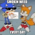 tails and sonic | SMOKIN WEED; EVERY DAY | image tagged in tails and sonic | made w/ Imgflip meme maker
