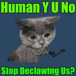 Their Purrdy-Paws Don't Need No Declawing! 44colt's Meme Template Challenge March 18-24 (A 44colt event) | Human Y U No; Stop Declawing Us? | image tagged in y u no sad cat,y u no,44colt,4colt's meme challenge,cats,animals | made w/ Imgflip meme maker