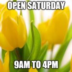 Spring Flowers | OPEN SATURDAY; 9AM TO 4PM | image tagged in spring flowers | made w/ Imgflip meme maker