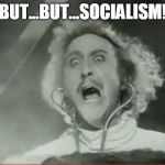 Young Frankenstein | BUT...BUT...SOCIALISM! | image tagged in young frankenstein | made w/ Imgflip meme maker