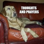 Dog Eye Roll | THOUGHTS AND PRAYERS | image tagged in dog eye roll | made w/ Imgflip meme maker