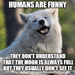 supersecretwolf | HUMANS ARE FUNNY; THEY DON'T UNDERSTAND THAT THE MOON IS ALWAYS FULL BUT THEY USUALLY DON'T SEE IT | image tagged in supersecretwolf | made w/ Imgflip meme maker