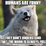 supersecretwolf | HUMANS ARE FUNNY; THEY DON'T UNDERSTAND THAT THE MOON IS ALWAYS FULL | image tagged in supersecretwolf | made w/ Imgflip meme maker