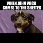 nervous dog | WHEN JOHN WICK COMES TO THE SHELTER | image tagged in nervous dog | made w/ Imgflip meme maker