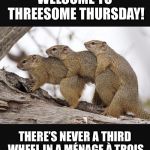Squirrels having threesomes | WELCOME TO THREESOME THURSDAY! THERE’S NEVER A THIRD WHEEL IN A MÉNAGE À TROIS | image tagged in squirrels having threesomes | made w/ Imgflip meme maker