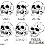 retarded caveman skulls | T-SERIES SUPPORTERS | image tagged in retarded caveman skulls | made w/ Imgflip meme maker