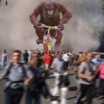 Orangutan On Bike