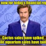 Today’s financial report | And now for today’s financial report; Cactus sales have spiked while aquarium sales have tanked | image tagged in anchor man,finance,puns | made w/ Imgflip meme maker