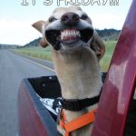 Yay!! It's Friday!!! | YAY!!  IT'S FRIDAY!!! SISSKIND CHIROPRACTIC | image tagged in yay it's friday | made w/ Imgflip meme maker