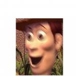 Woody meme