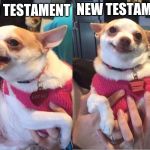 Repentant Chihuahua | OLD TESTAMENT; NEW TESTAMENT | image tagged in repentant chihuahua | made w/ Imgflip meme maker
