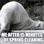 tired polar bear | ME AFTER 15 MINUTES 

OF SPRING CLEANING | image tagged in tired polar bear | made w/ Imgflip meme maker