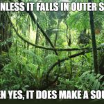 Jungle | SO, UNLESS IT FALLS IN OUTER SPACE; THEN YES, IT DOES MAKE A SOUND | image tagged in jungle | made w/ Imgflip meme maker