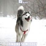 Happiness Is Perspective | TRUE HAPPINESS IS . . . FINDING SOMEBODY THAT WILL SCRATCH YOUR BUTT WITHOUT COMPLAINING | image tagged in happy husky,scratch,song of my people,lol,too funny,true dat | made w/ Imgflip meme maker