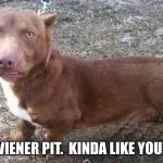 wiener-pit | IT'S A WIENER PIT.  KINDA LIKE YOUR MOM. | image tagged in wiener-pit | made w/ Imgflip meme maker
