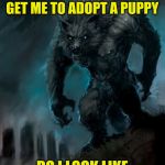 Werewolf Having Identity Crisis | A WOMAN AT THE ANIMAL SHELTER TRIED TO GET ME TO ADOPT A PUPPY; DO I LOOK LIKE A BIG DOG PERSON? | image tagged in werewolf,memes,bad pun dog,full moon,boardroom meeting suggestion,a mythical tag | made w/ Imgflip meme maker