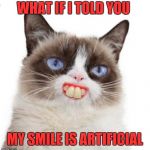 Artificially Happy | WHAT IF I TOLD YOU; MY SMILE IS ARTIFICIAL | image tagged in grumpy cat artificially smiles,memes,grumpy cat,funny,smile,grumpy cat smiling | made w/ Imgflip meme maker