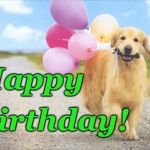 Dog With Balloons | Birthday! Happy | image tagged in dog with balloons | made w/ Imgflip meme maker