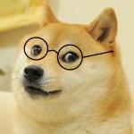 doge glasses meme