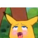 Pikachu hentai face meme