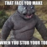 Lol Godzilla  | THAT FACE YOU MAKE; WHEN YOU STUB YOUR TOE | image tagged in lol godzilla | made w/ Imgflip meme maker