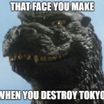 Godzilla Smile | THAT FACE YOU MAKE; WHEN YOU DESTROY TOKYO | image tagged in godzilla smile | made w/ Imgflip meme maker
