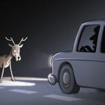 Deer In The Headlights meme