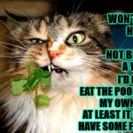 I WON'T DO IT | I WON'T DO IT HUMAN! I WILL NOT BECOME A VEGAN! I'D RATHER EAT THE POOP FROM MY OWN ANUS! AT LEAST IT WOULD HAVE SOME FLAVOR! | image tagged in i won't do it | made w/ Imgflip meme maker