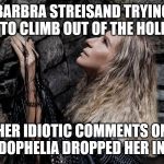 Barbra Streisand Walls | BARBRA STREISAND TRYING TO CLIMB OUT OF THE HOLE; HER IDIOTIC COMMENTS ON PEDOPHELIA DROPPED HER IN TO | image tagged in barbra streisand walls | made w/ Imgflip meme maker