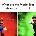 What Are the Mario Bros views on... meme