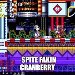 Sanic | CRANBERRY; SPITE FAKIN | image tagged in sanic | made w/ Imgflip meme maker
