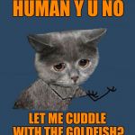 Y u no cat | HUMAN Y U NO; LET ME CUDDLE WITH THE GOLDFISH? | image tagged in y u no sad cat,memes,funny,goldfish,cats,44colt | made w/ Imgflip meme maker