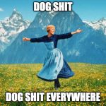 sound of music | DOG SHIT; DOG SHIT EVERYWHERE | image tagged in sound of music | made w/ Imgflip meme maker
