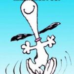 Snoopy dance | AFTER YOU'VE HAD A NICE POOP | image tagged in snoopy dance | made w/ Imgflip meme maker