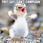 Complainer Bird | IF YOU ASK HOW SOMEONE'S DOING AND THEY SAY "CAN'T COMPLAIN,"; THEY'RE JUST NOT TRYING HARD ENOUGH. | image tagged in complainer bird | made w/ Imgflip meme maker