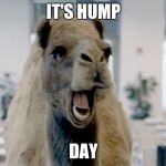 Geico camel hump day | IT'S HUMP; DAY | image tagged in geico camel hump day,funnny | made w/ Imgflip meme maker