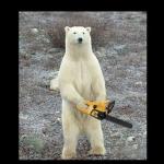 Chainsaw Bear