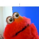 Elmo shook