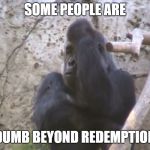 Some people are dumb beyond redemption | SOME PEOPLE ARE; DUMB BEYOND REDEMPTION | image tagged in frustrated gorilla,memes,stupid people,dumb,redemption,idiot | made w/ Imgflip meme maker