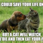 Cats. They cannot be trusted. | A DOG COULD SAVE YOUR LIFE ONE DAY; BUT A CAT WILL WATCH YOU DIE AND THEN EAT YOUR FACE | image tagged in pets | made w/ Imgflip meme maker