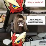 I'm in me teacher's car. BEEP BEEP!  | Where ya travelin' to? Take me where there aren't any stupid humans. And learn to speak properly. | image tagged in blaze the blaziken driving,blaze the blaziken,grumpy cat | made w/ Imgflip meme maker