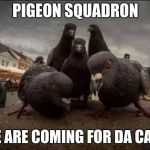Pigeons | PIGEON SQUADRON; WE ARE COMING FOR DA CARS | image tagged in pigeons | made w/ Imgflip meme maker