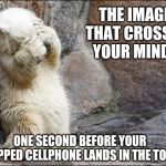 Dropped cell phone | THE IMAGE THAT CROSSES YOUR MIND... ONE SECOND BEFORE YOUR DROPPED CELLPHONE LANDS IN THE TOILET | image tagged in hudson | made w/ Imgflip meme maker