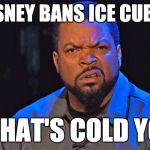ice cube wtf face | DISNEY BANS ICE CUBES; THAT'S COLD YO | image tagged in ice cube wtf face | made w/ Imgflip meme maker